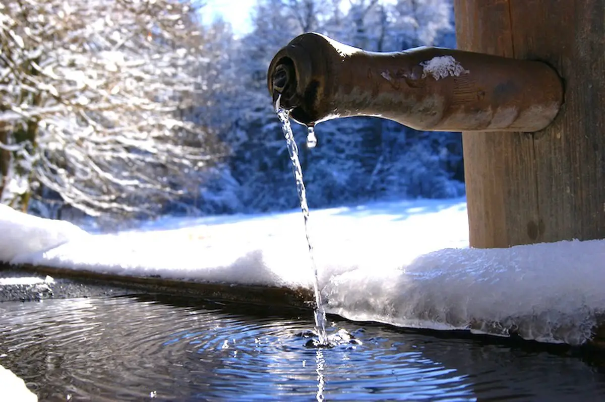 homestead water needs