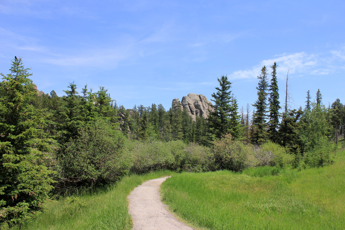 Walking path through the Black Hills of South Dakota with lots of green grass, shrubs and trees and large rock and blue sky.