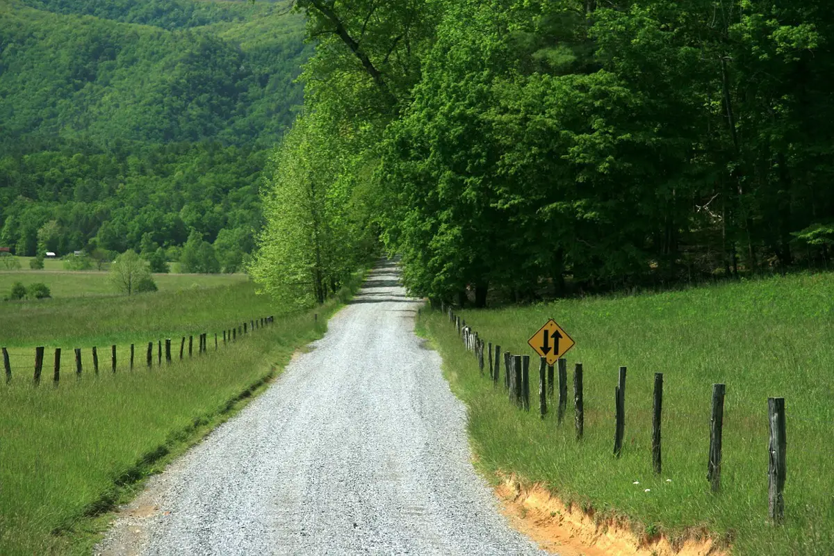 country road, green grass and trees