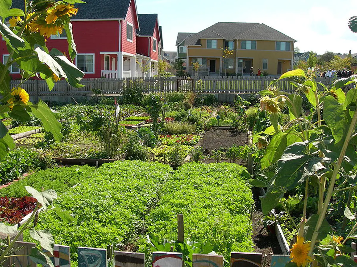 community gardens