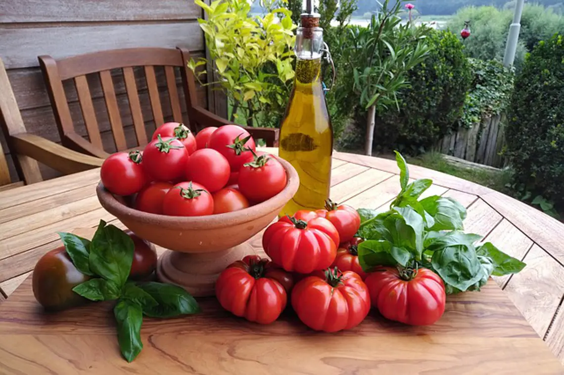 red tomatoes on a table with basil and bottle of olive oil