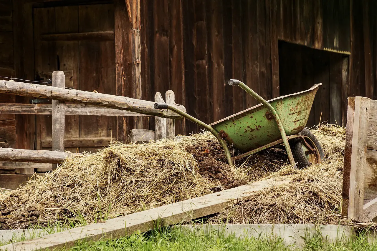 old green wheelbarrow sitting on hay by the barn